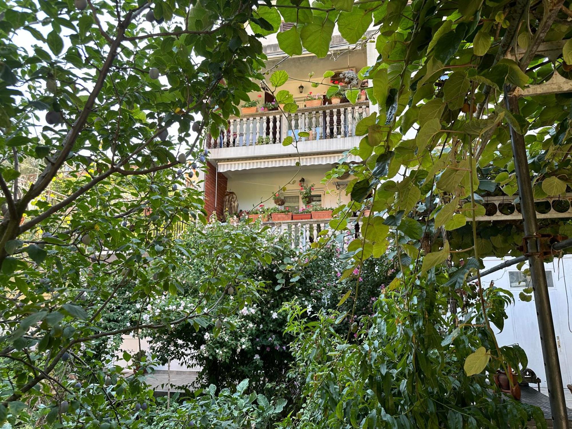 Apartments Suzana Herceg Novi Exterior photo
